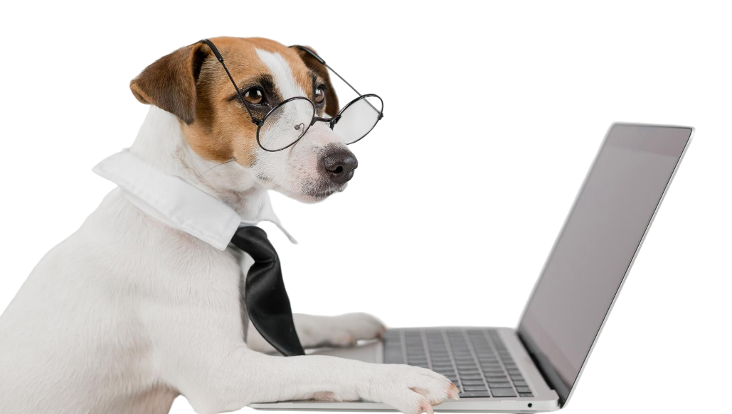 cat_preguntas_frecuentes